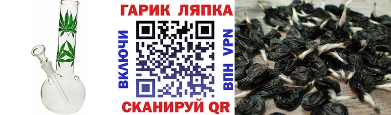 купить Данилов ссылка на мегу зеркало Гашиш гарик