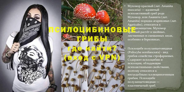 дурь Горняк