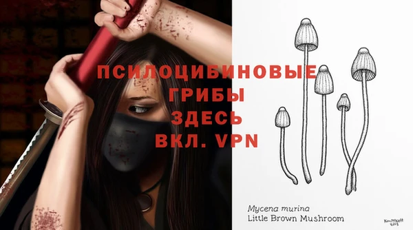 дурь Горняк