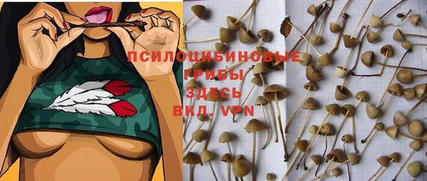 наркотики Горнозаводск