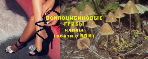 дурь Горняк