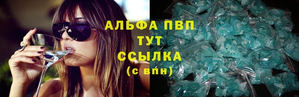 ПСИЛОЦИБИНОВЫЕ ГРИБЫ Михайлов