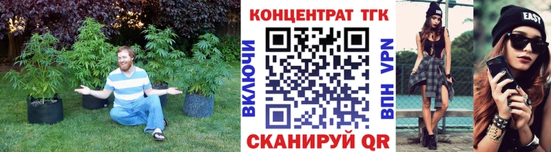 Дистиллят ТГК Wax  Данилов 